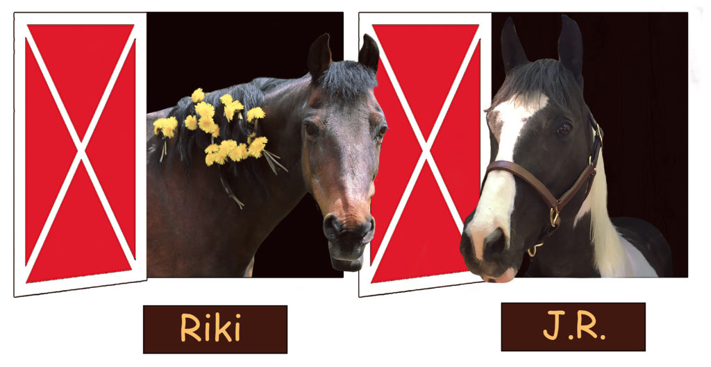 Real Riki and J.R. Horse Picture Book