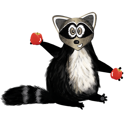 resized smaller racoon