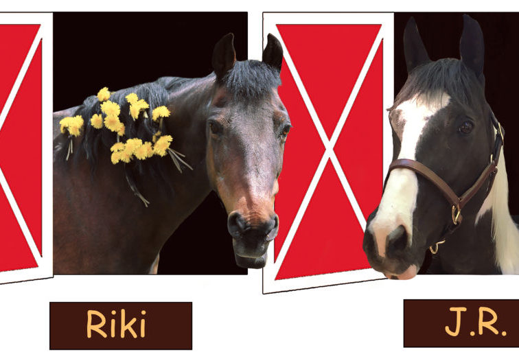 Real Riki and J.R. Horse Picture Book